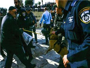 تقرير يکشف دور هولندا في تعذيب الفلسطينيين بواسطه الکلاب