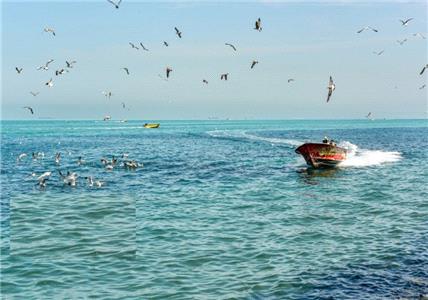 خلیج فارس، پاره تن ایران است