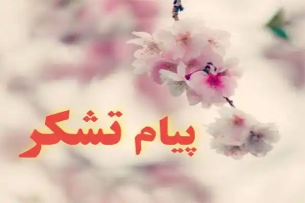 قدردانيِ اهالي گردشگري، ميراث فرهنگي و صنايع دستي از استاندار فارس براي انتصاب معاون هماهنگي امور گردشگري