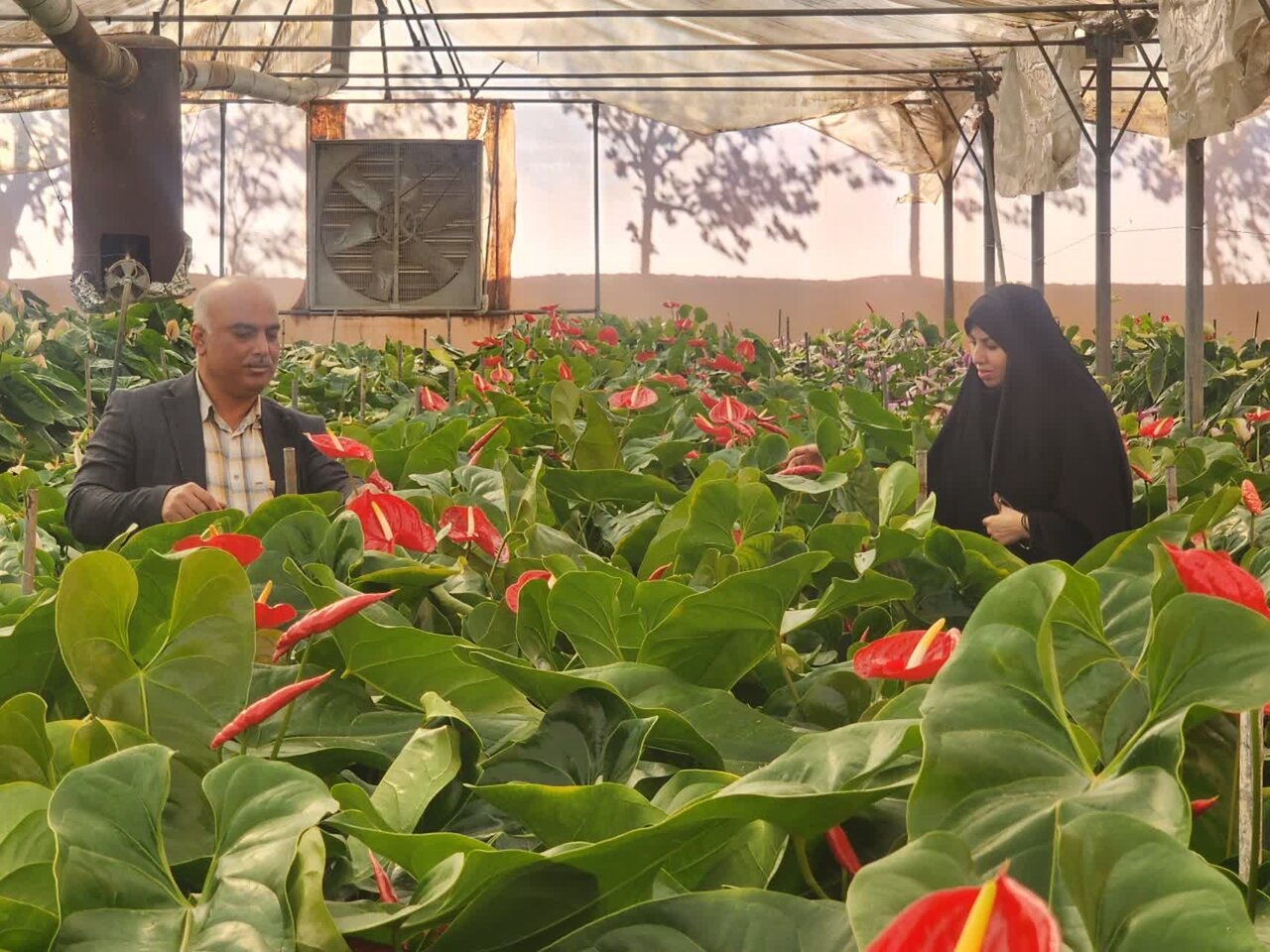 خبرگزاری آریا