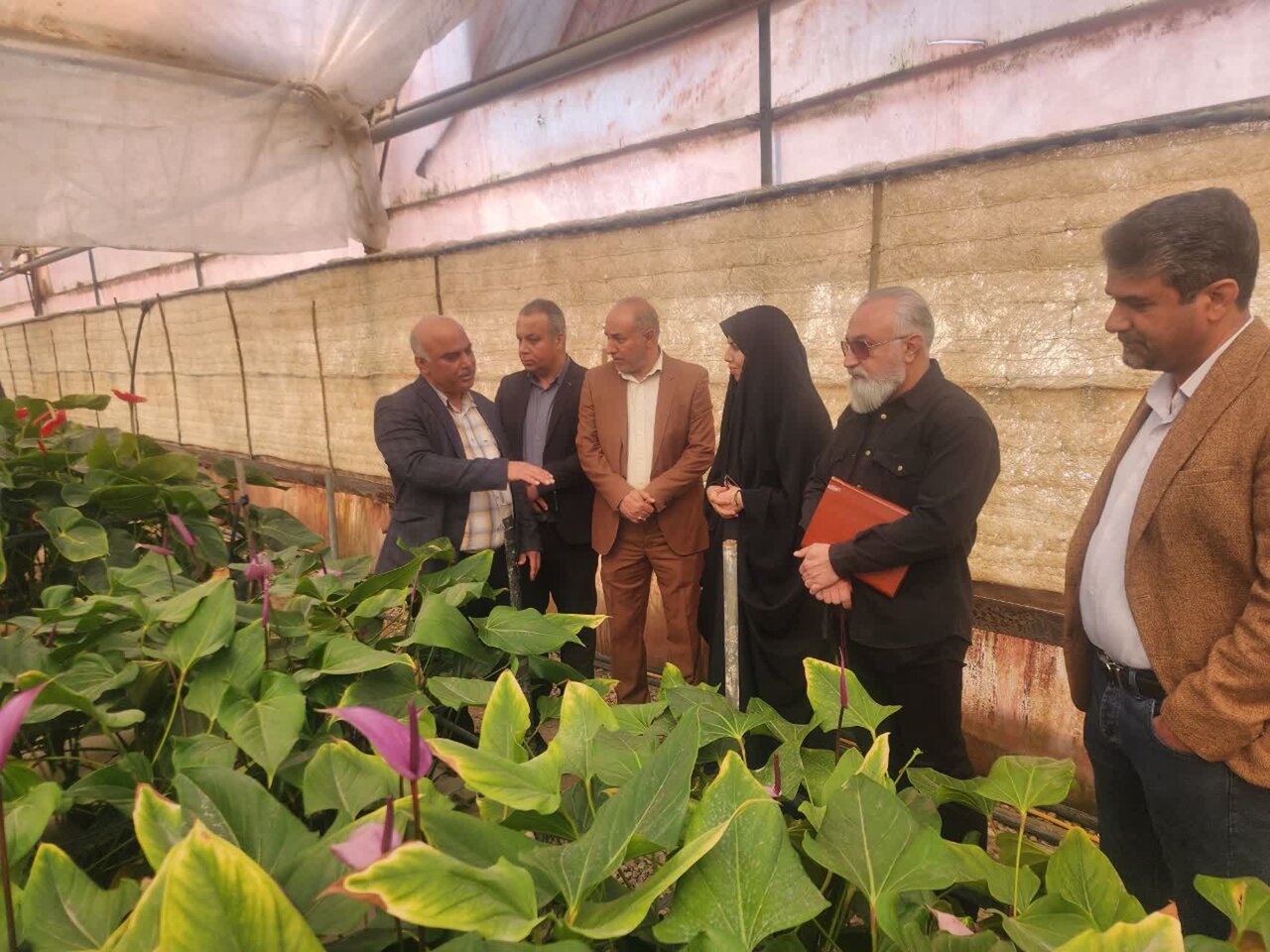 خبرگزاری آریا