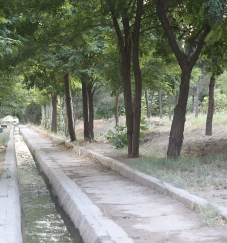 خبرگزاری آریا