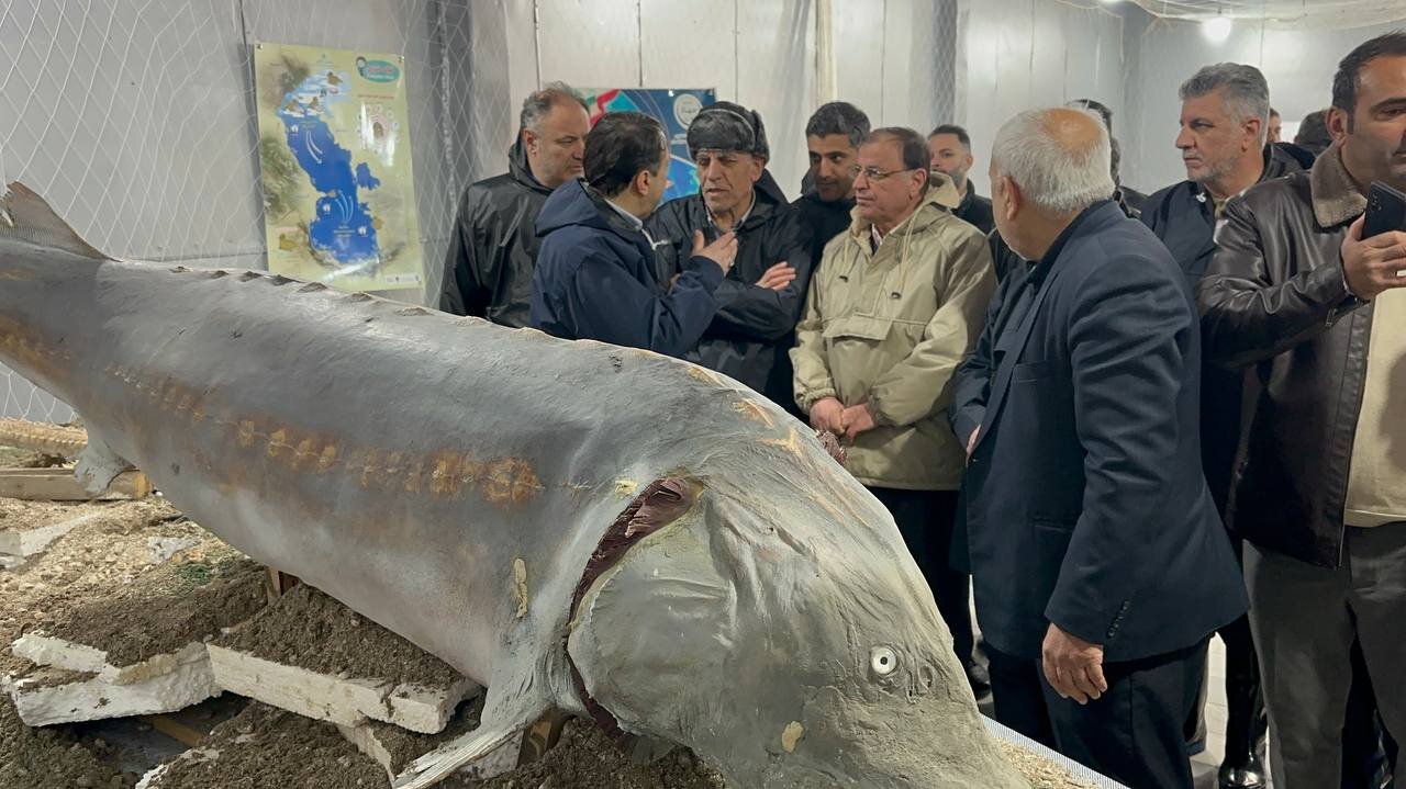 خبرگزاری آریا