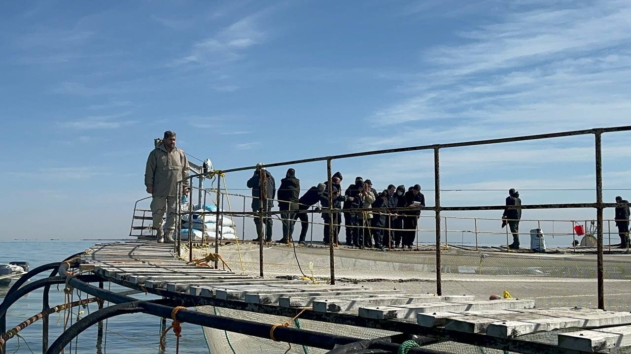 خبرگزاری آریا