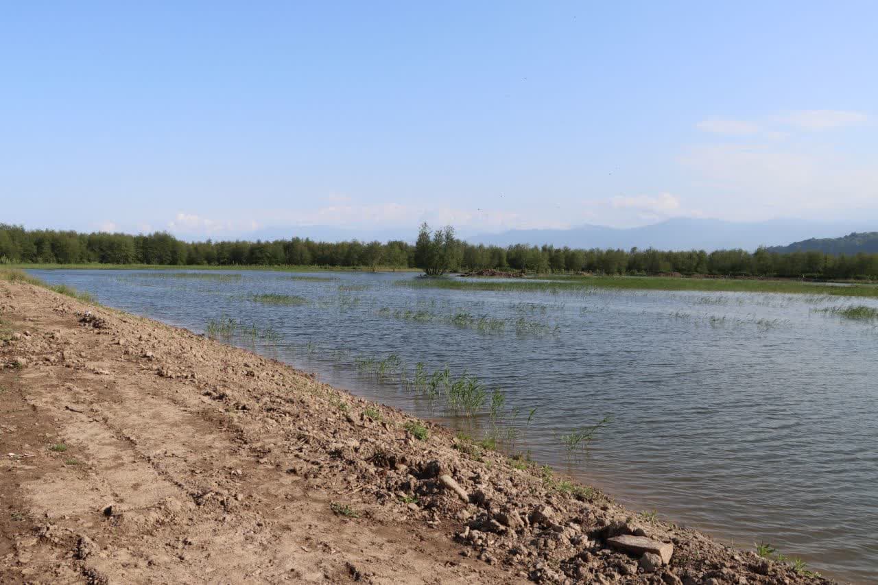خبرگزاری آریا