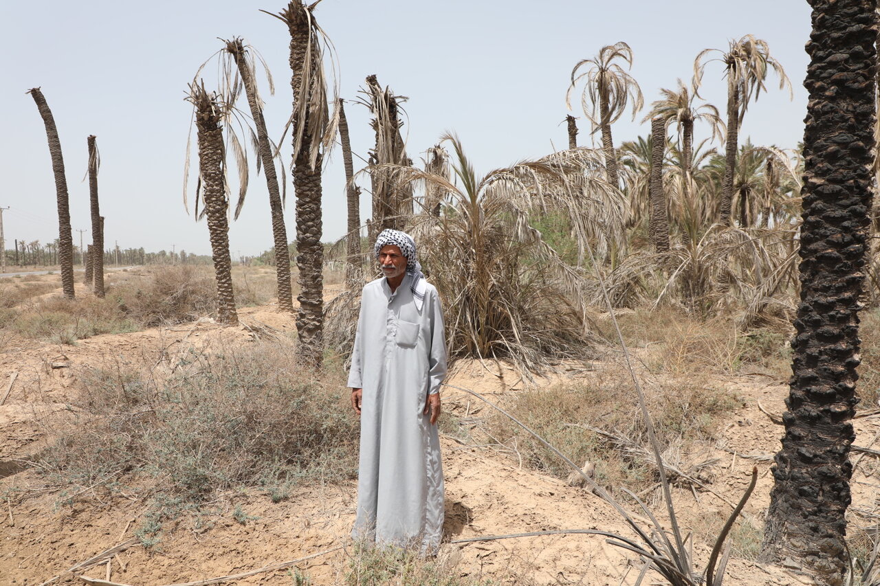 خبرگزاری آریا