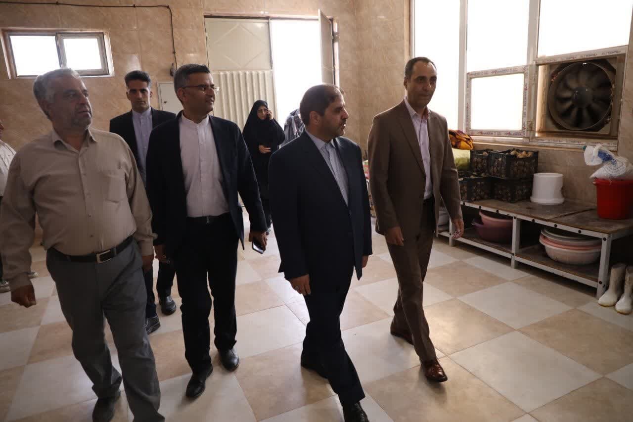 خبرگزاری آریا
