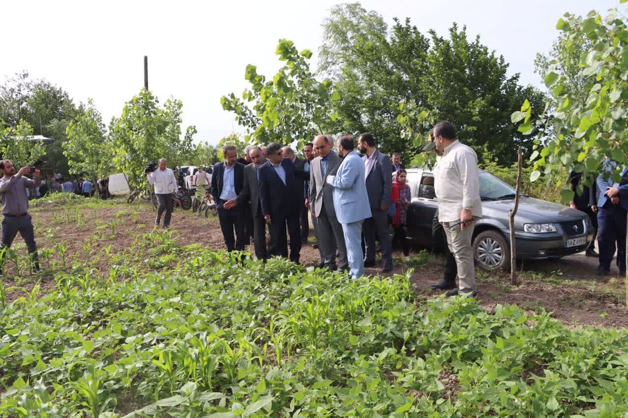 خبرگزاری آریا